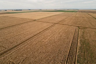 Vue aérienne de vastes étendues agricoles illustrant la conversion de 10 000 hectares en kilomètres carrés