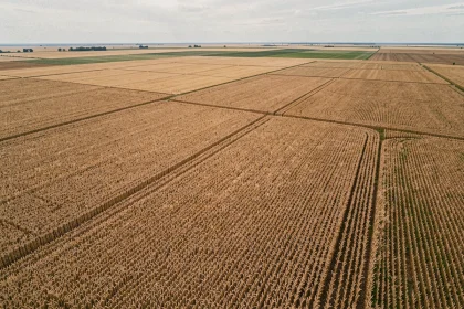 Vue aérienne de vastes étendues agricoles illustrant la conversion de 10 000 hectares en kilomètres carrés