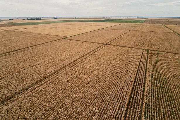 Vue aérienne de vastes étendues agricoles illustrant la conversion de 10 000 hectares en kilomètres carrés