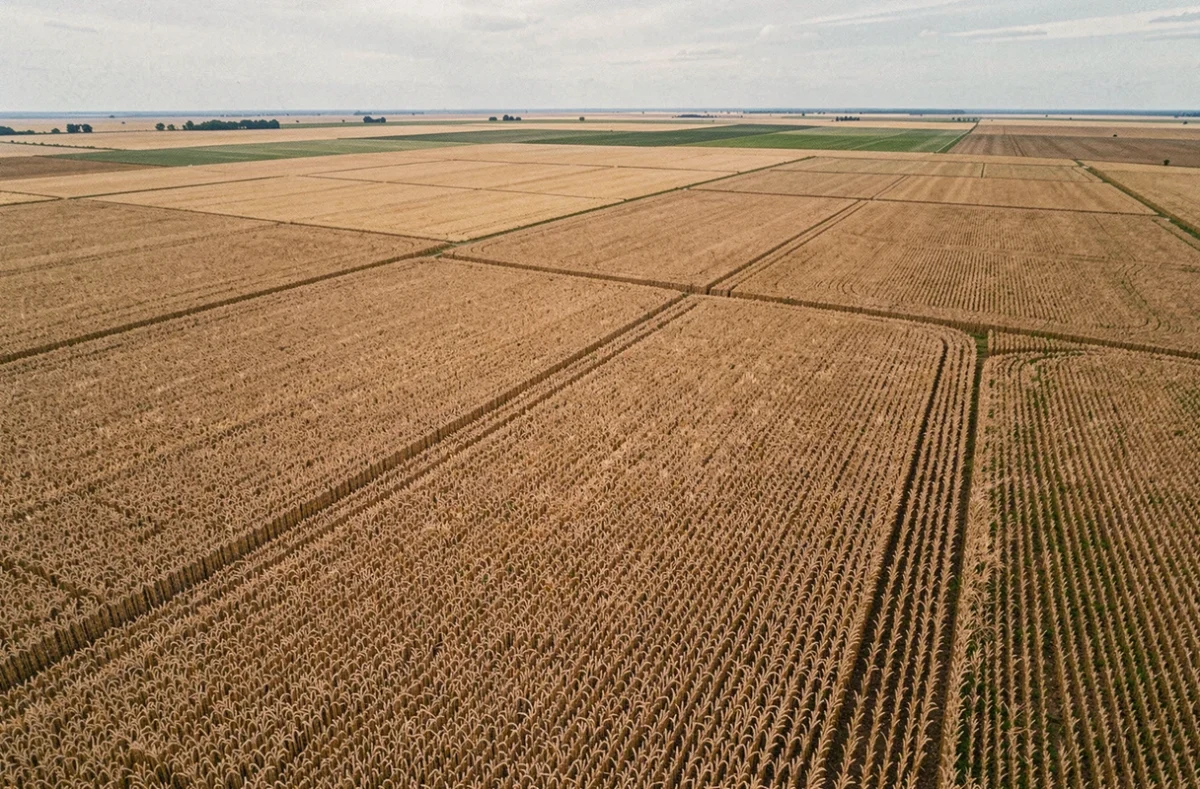 Vue aérienne de vastes étendues agricoles illustrant la conversion de 10 000 hectares en kilomètres carrés